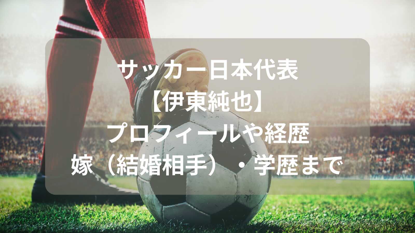 junya-ito-profile-image